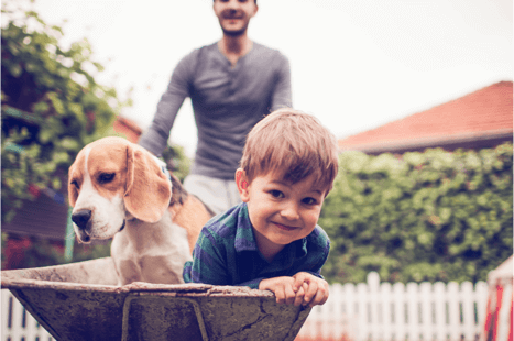 man pushing child and dog in wheelbarrow